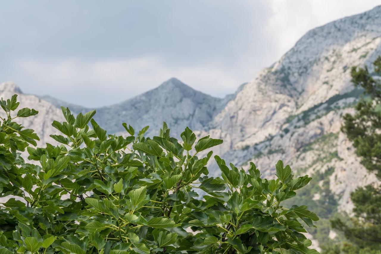 Apartment Strawberry Makarska Bagian luar foto