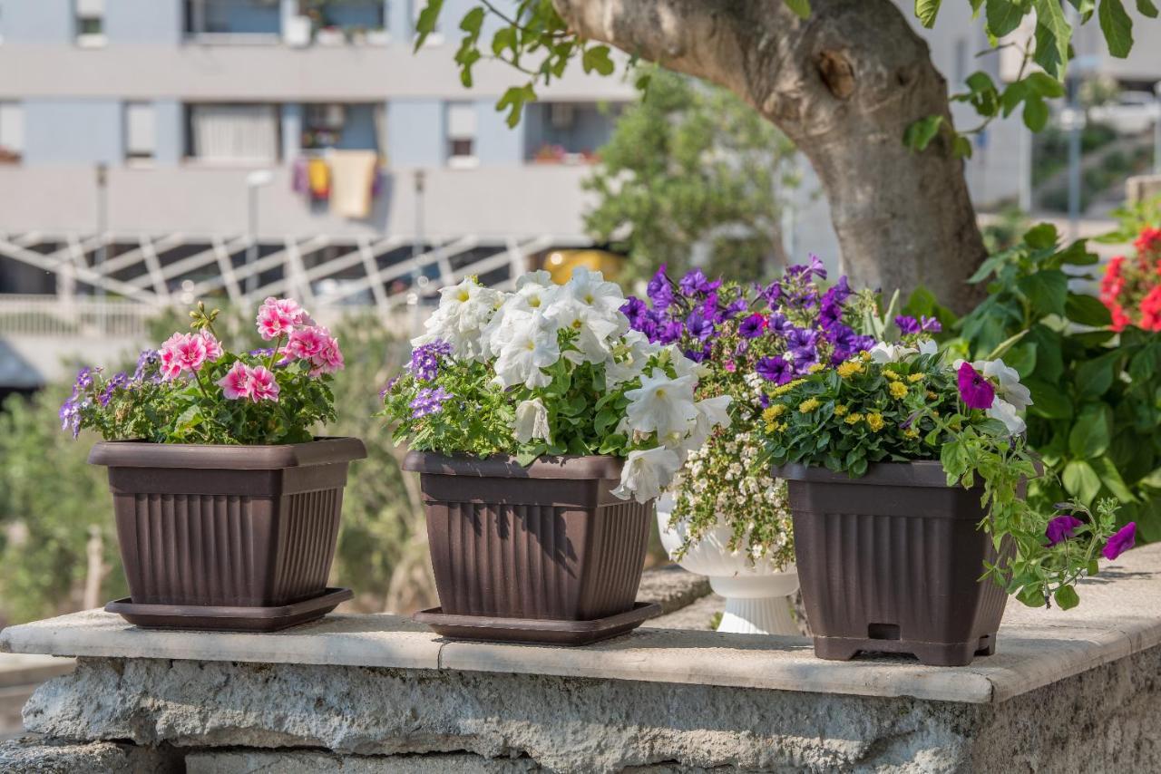 Apartment Strawberry Makarska Bagian luar foto